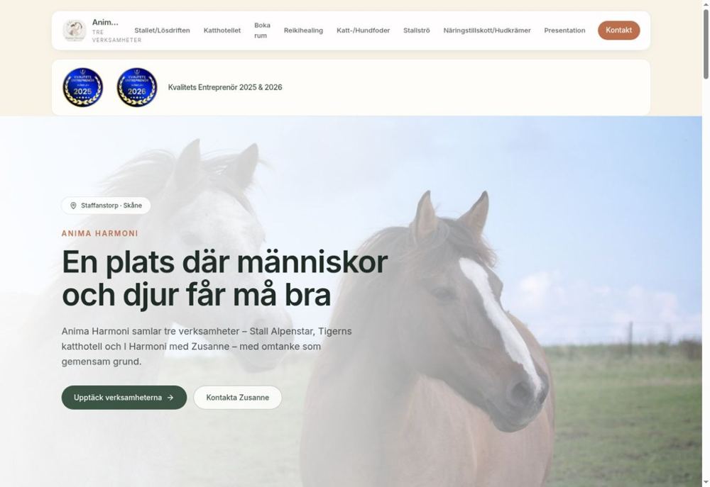 Skärmdump av Anima Harmoni